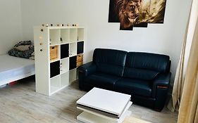Tres Agreable Studio A Villeurbanne